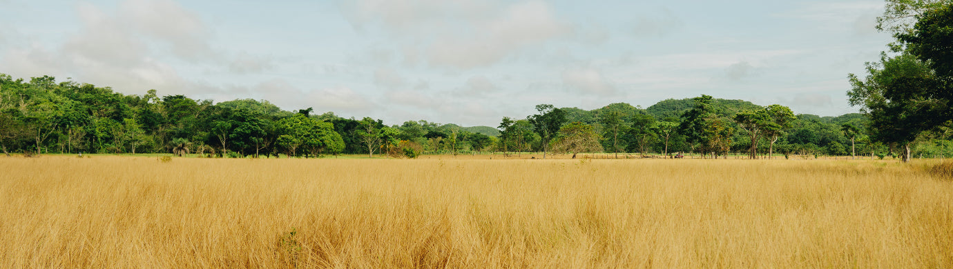 Gli accessori ideali per affrontare un Safari in Africa