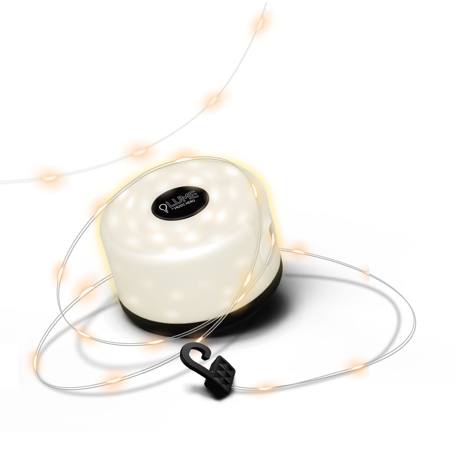 Decorative string lights and lantern