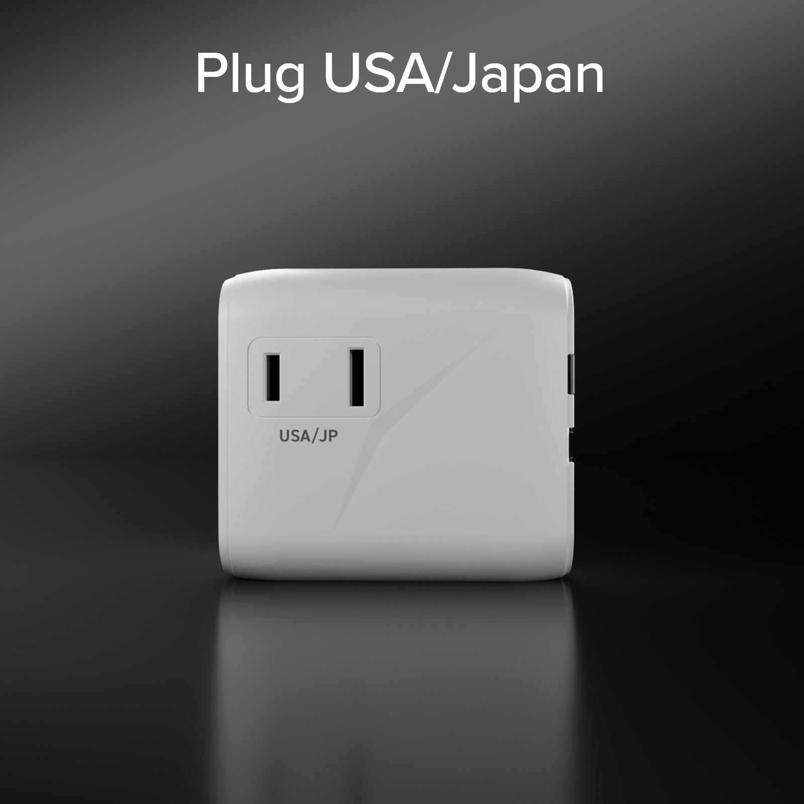 Adaptateur universel avec fiches internationales 2500 W