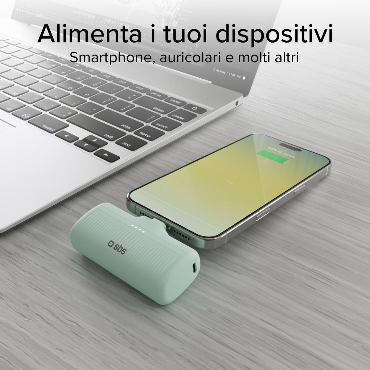 EcoPower Bank 5000mAh