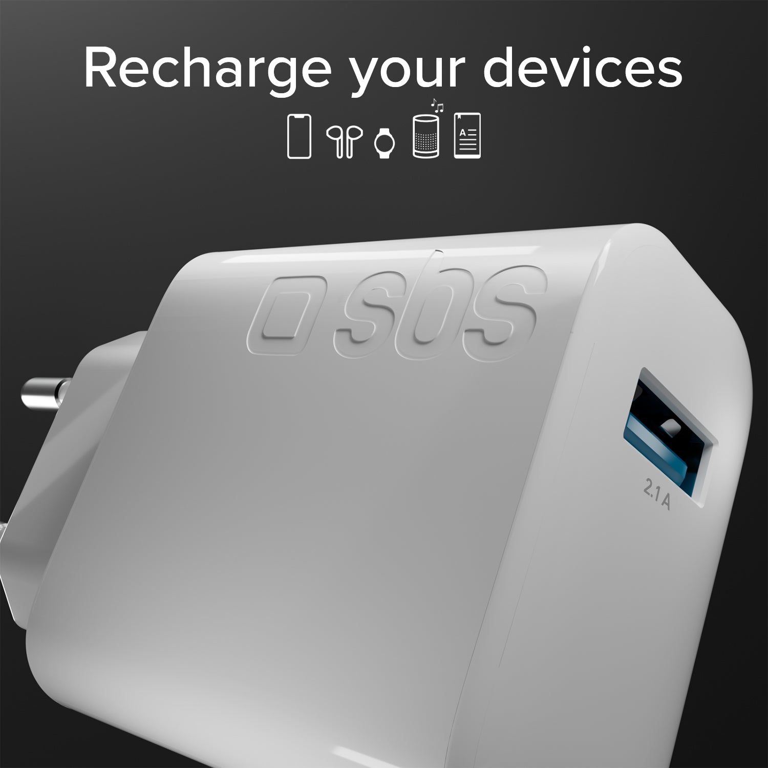 Cargador de viaje USB de 10 Watt