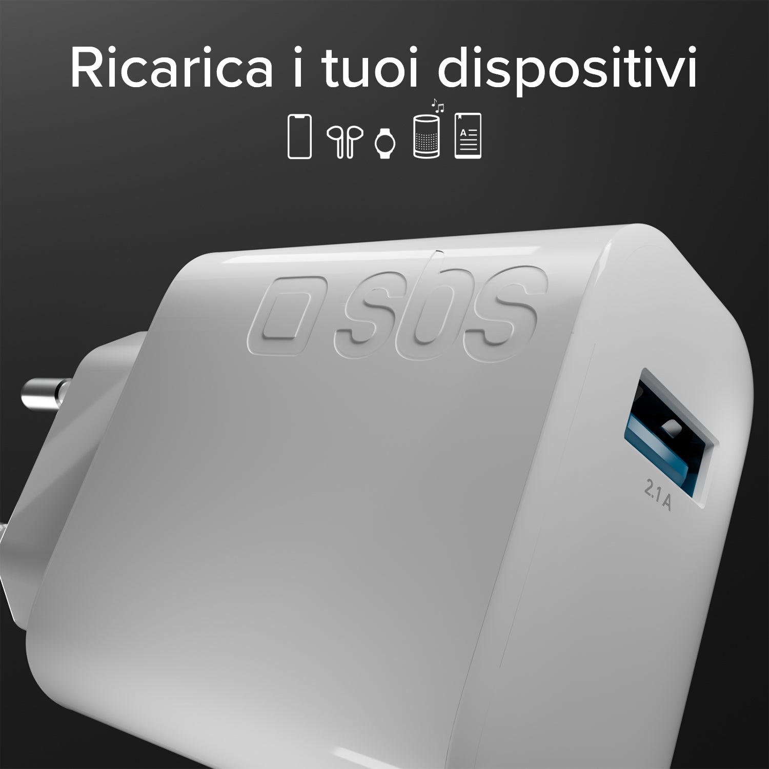 Cargador de viaje USB de 10 Watt