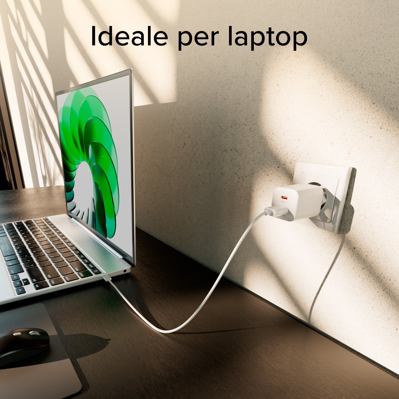60W Power Delivery and AVS Wall Charger Kit with 2 Ports and 1.5 m Braided USB-C Cable