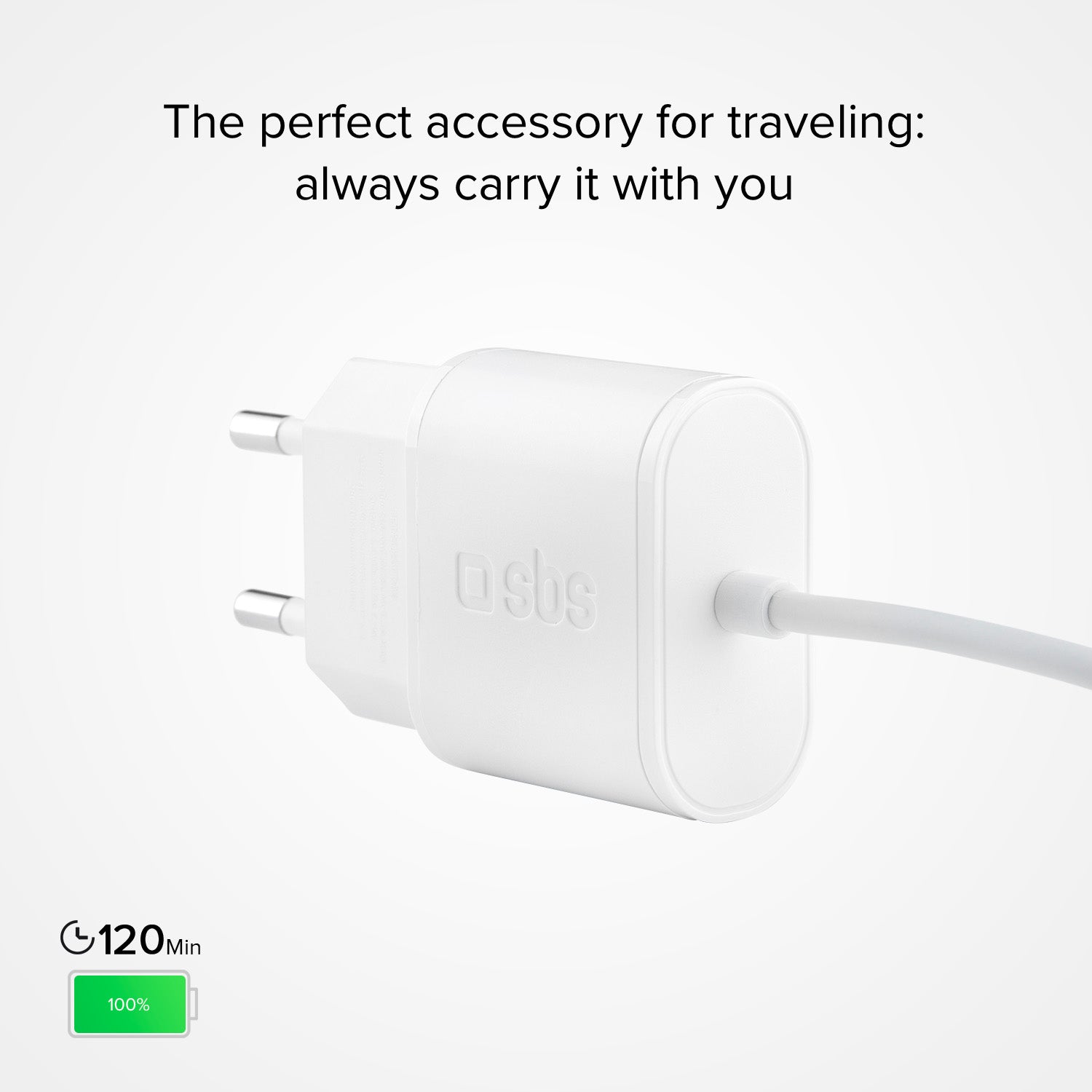 Reiseladegerät 5W für iPhone, iPad und iPod