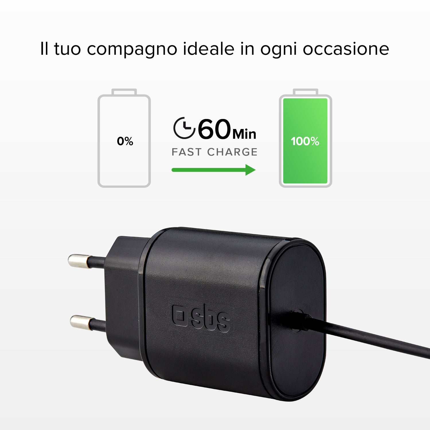 Caricabatterie da viaggio da 10W Type-C
