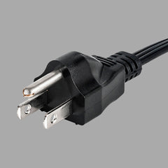 Type B plug Image