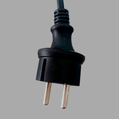 Type F plug Image