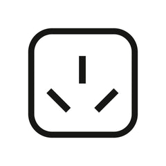 Type I plug Image