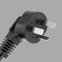 Type I plug Image
